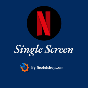 netflix premium screen